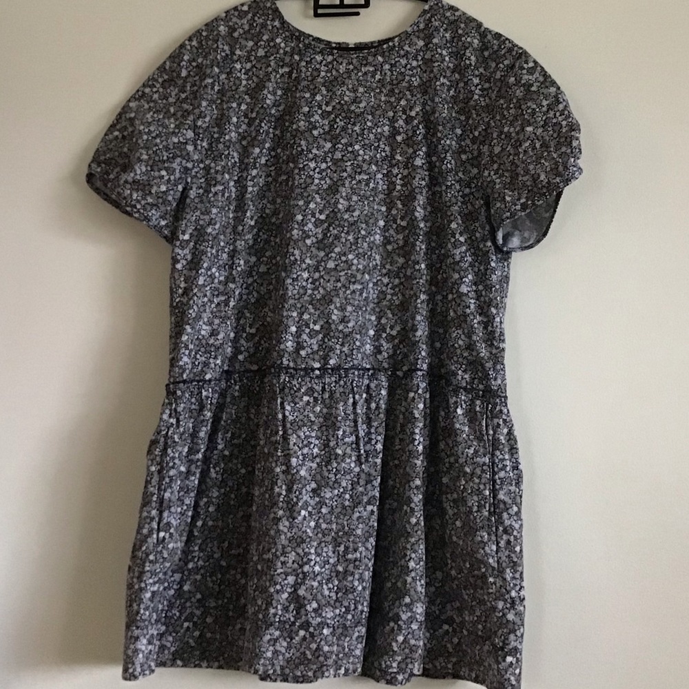 Lovely drop waist Gap dress